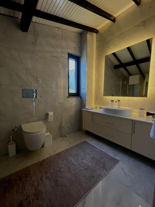 Shino Sapanca'Da Sicak Havuzlu Tatil Keyfi! Villa Exterior photo